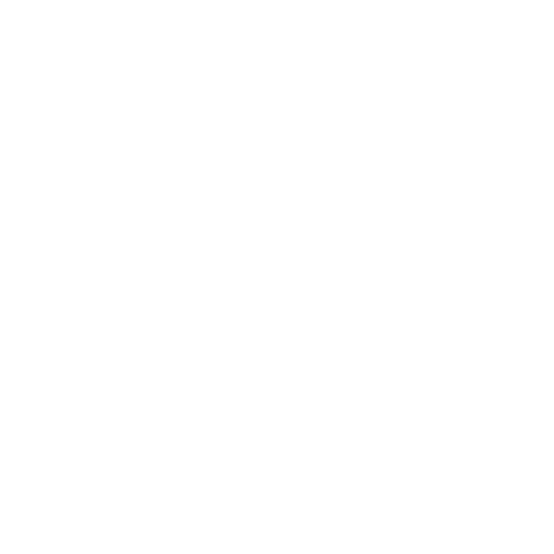 CONTROLES GRÚA