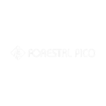 Controles Grúa 11 forestal pico white 500